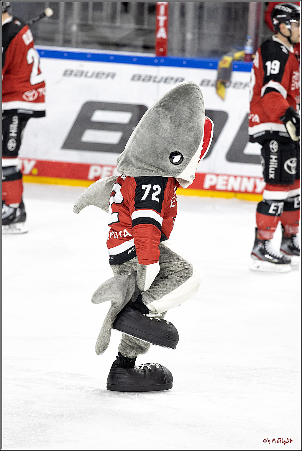 PENNY DEL;  Koelner Haie - ERC Ingolstadt; Koeln, 19.12.2021